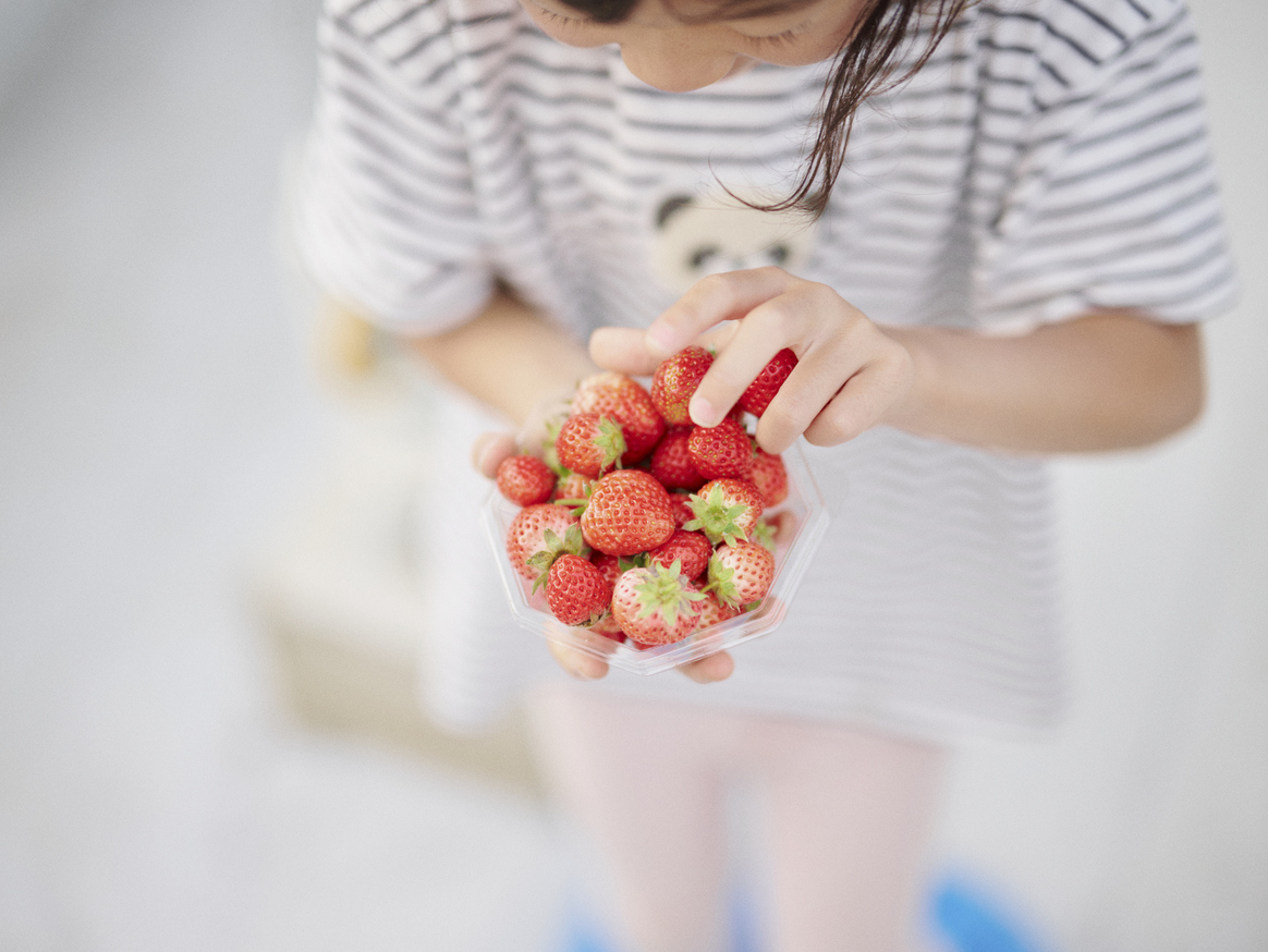 1年中楽しめるいちご狩り