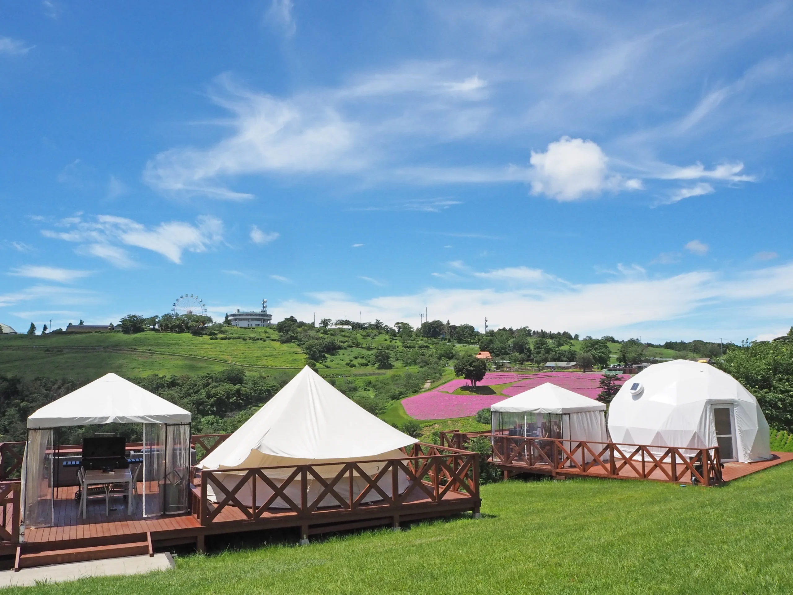 桃色吐息が見えるテント