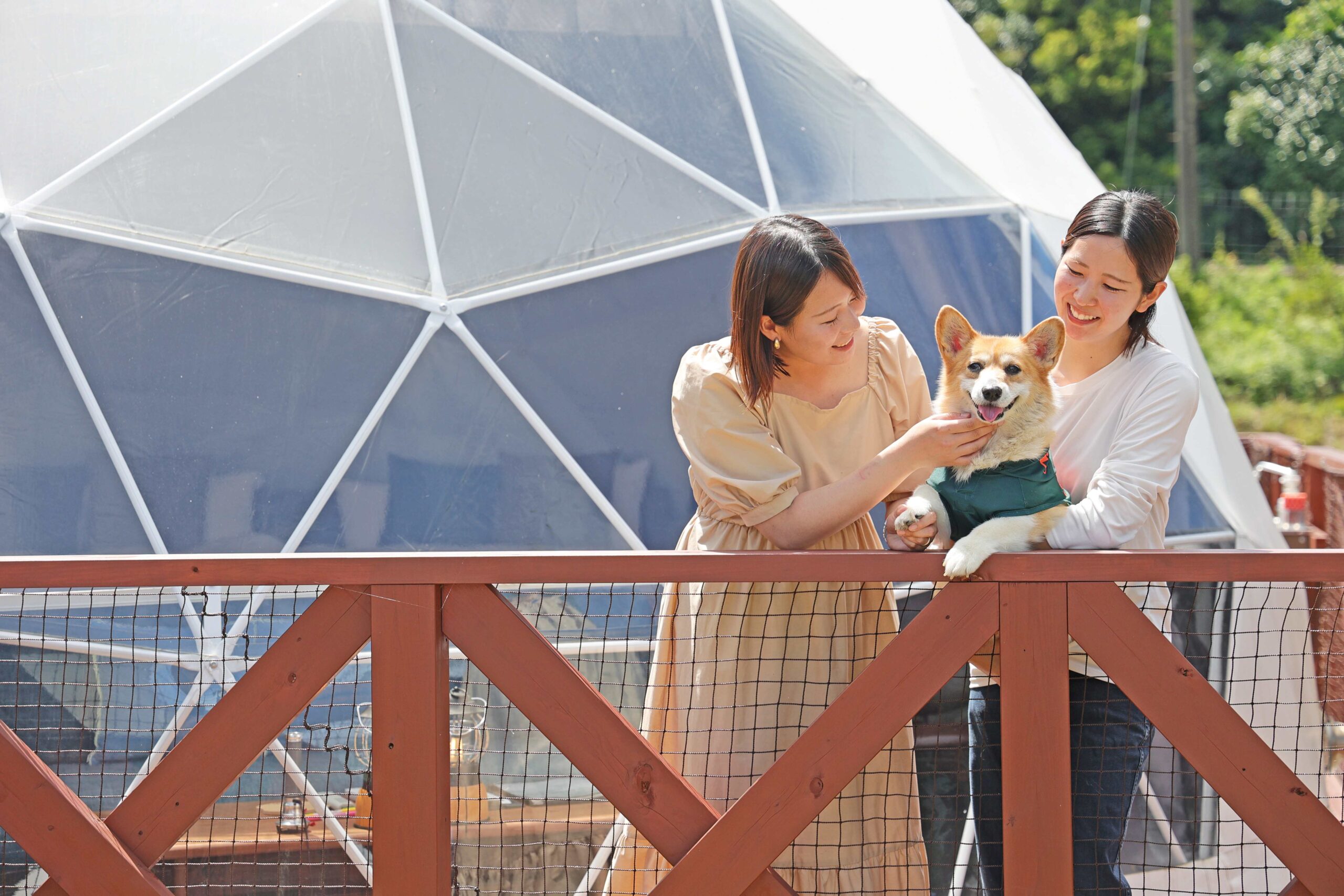 ワンちゃんもご一緒に