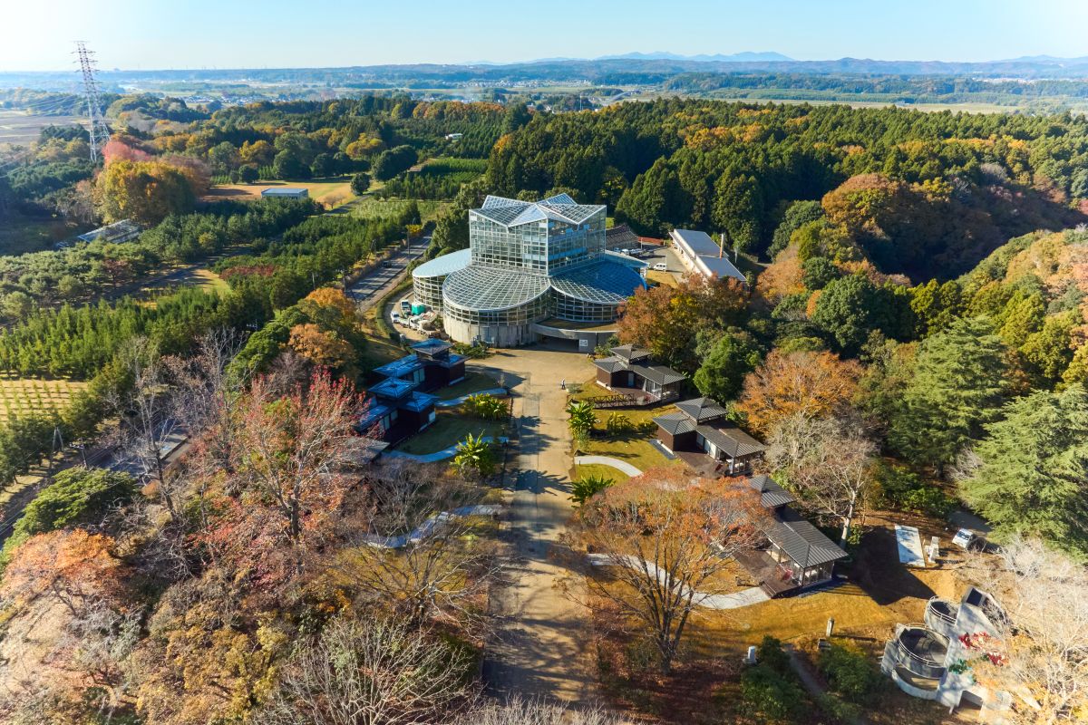 TV各局で紹介された、話題の【日本初・泊まれる植物園】都心から90分、家族で過ごす“森の別荘ステイ”