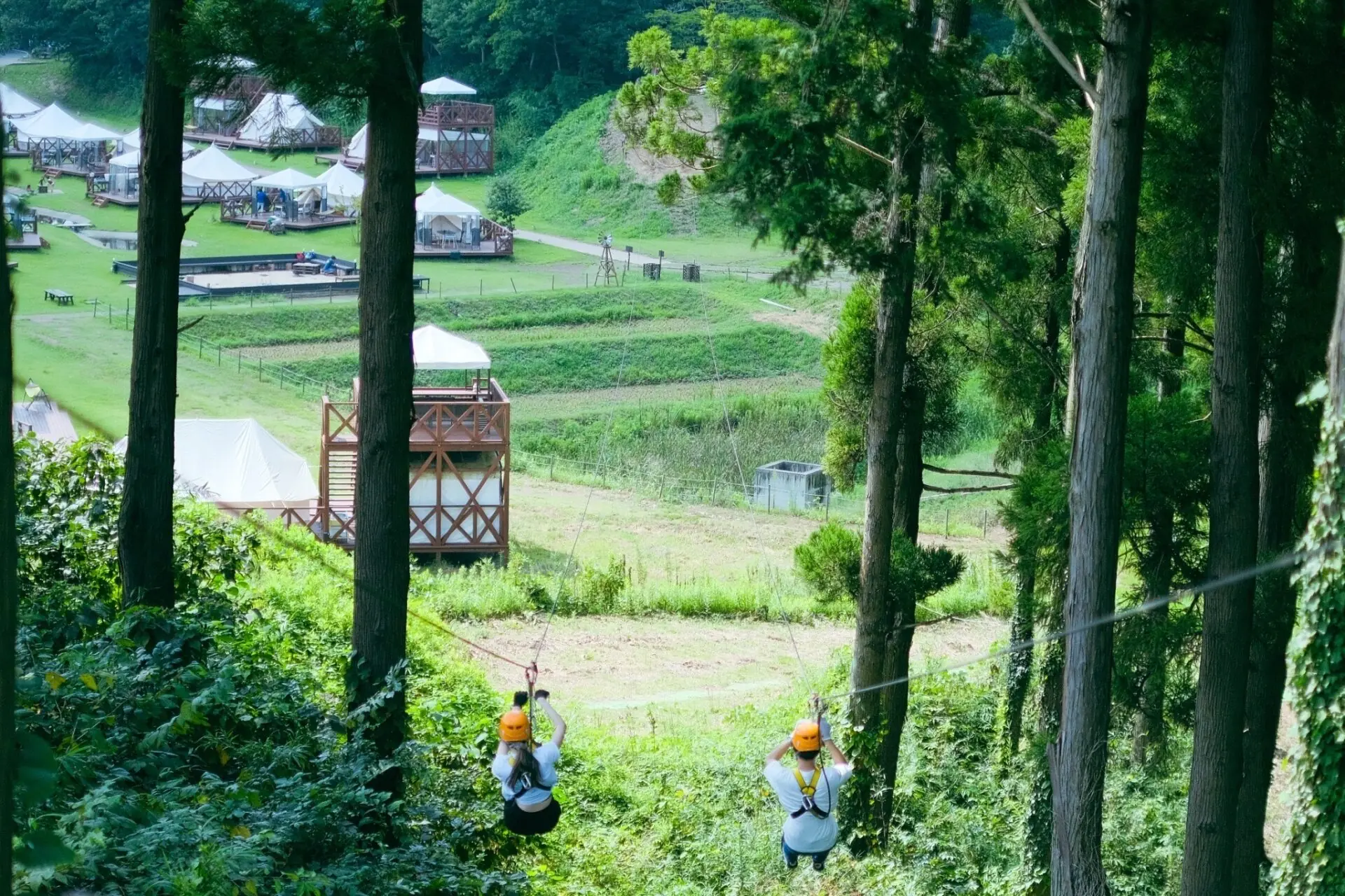 / THE FARM /【3月平日限定】学生証提示でグループ全員ジップライン無料。「また今度ね」が増える前に、平日だから叶うちょっといい集まり方